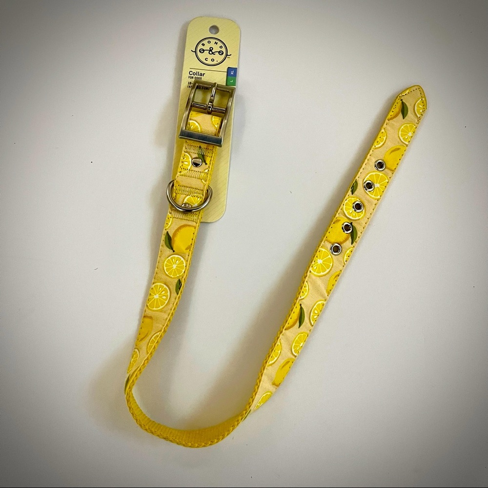Bond Co. Lemon Collar for Dogs L/XL 18-21 IN NEW!!!